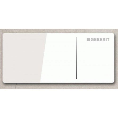 Кнопка для инсталляции Geberit Type70 115.630.SI.1 фото номер 
